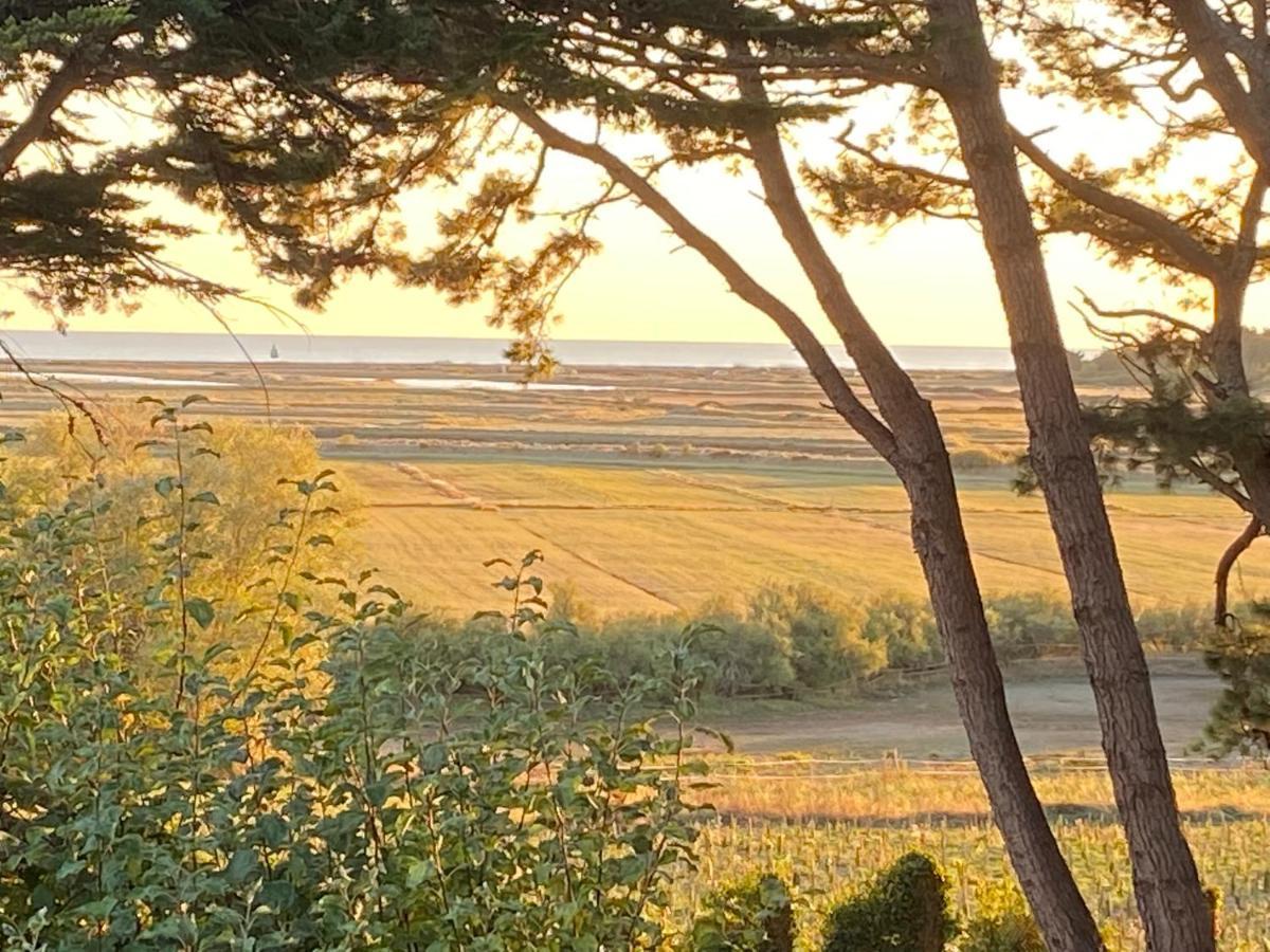 Villa Vieilles Vignes Vue Mer Billiers Экстерьер фото