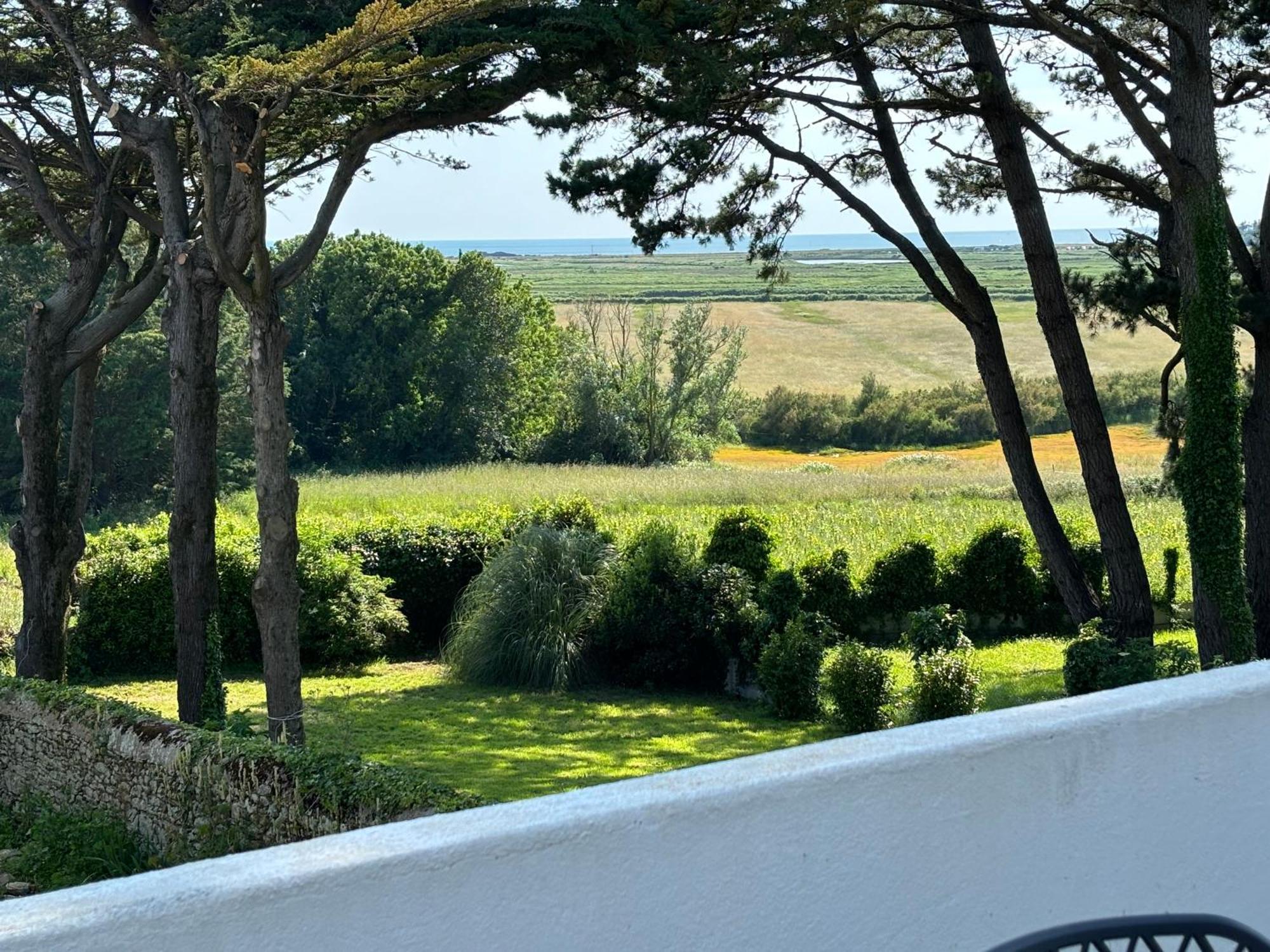 Villa Vieilles Vignes Vue Mer Billiers Экстерьер фото